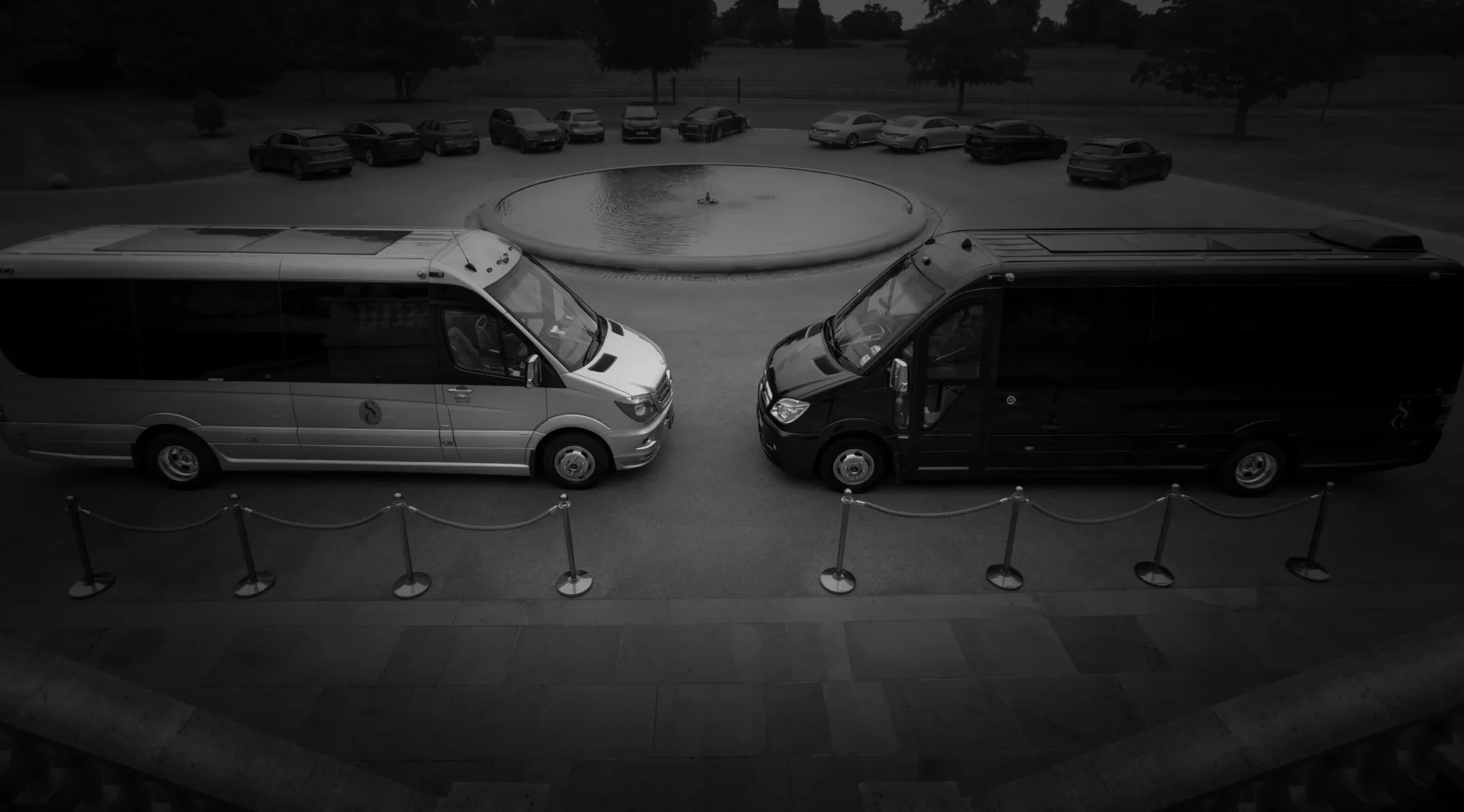 Executive Coaches